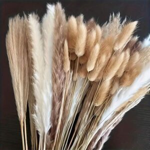 38 pièces Bouquet de Graminées Pampa séchées