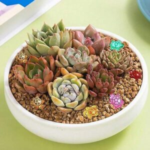 500pcs Mini Turtle Figurines, Mini Resin Glitter Sea Turtle Statues, Suitable For DIY Garden Ocean Animal Sculpture, Dollhouse, Aquarium Decor, Cartoon Colorful DIY Accessories, Turtle Nail Art, Small Gifts For Birthday Party, Wedding, Graduation