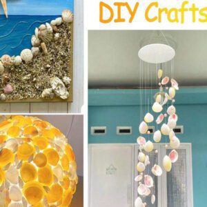 1000g/500g Natural Shell And Conch Decoration, Mixed Natural Seashells, Starfish And Scallops, Assorted Sizes, Beach Theme Party, DIY Crafts, Aquarium Decor, Home Decor, Wedding Decor (Small Size)